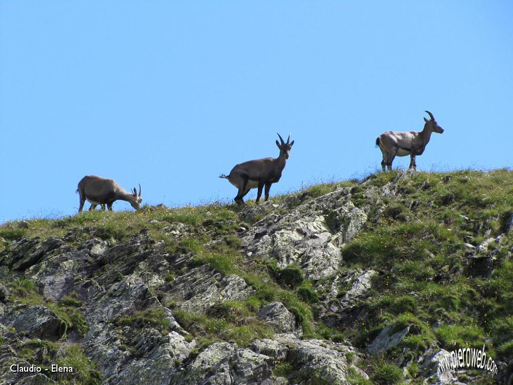 12 I compagni sul passo di Cigola.JPG